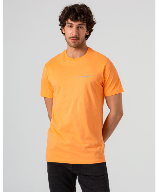 CAMISETA BRIDGER
