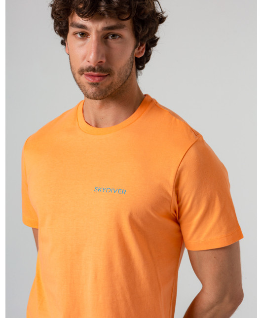 CAMISETA BRIDGER